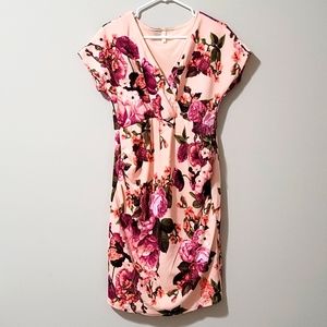 PINKBLUSH maternity floral nursing dress
